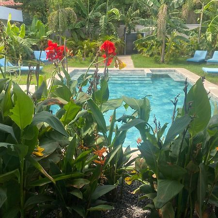 Hotel Good Life Coco Extérieur photo